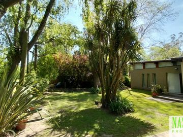 place photo 37