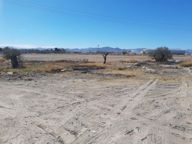 place photo 1
