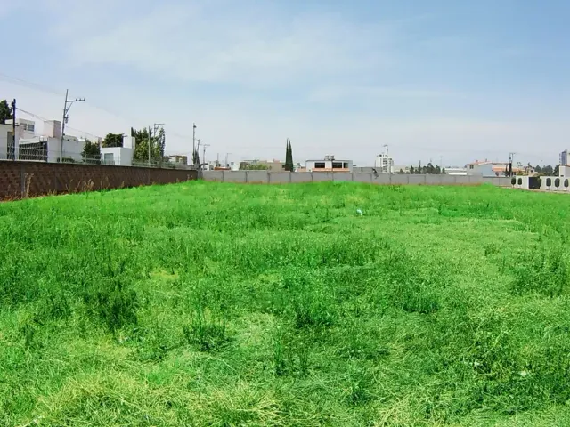 place photo 21