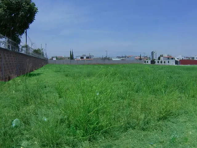 place photo 17