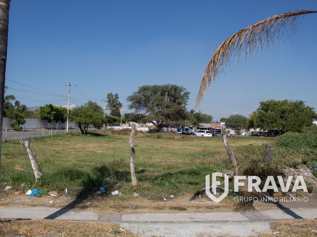 place photo 4