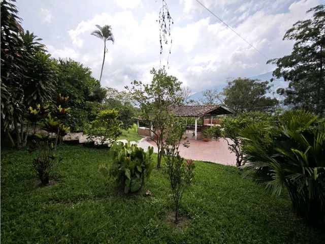 place photo 63