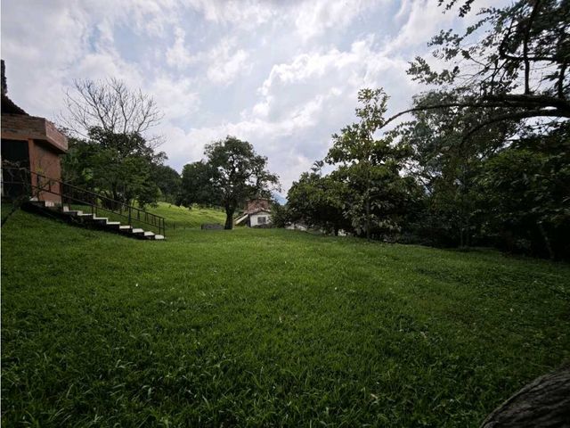 place photo 61