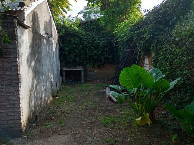 place photo 18