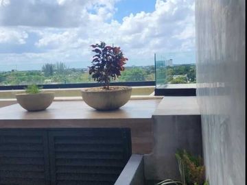 place photo 24