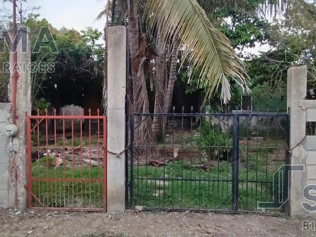 place photo 6