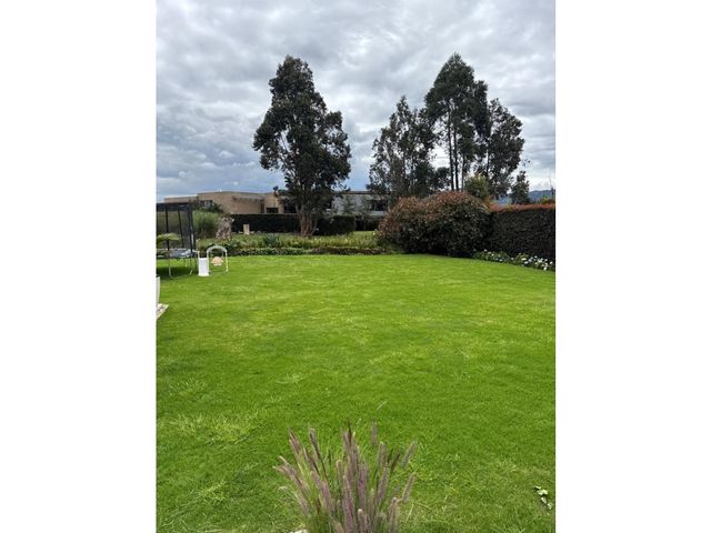 place photo 62