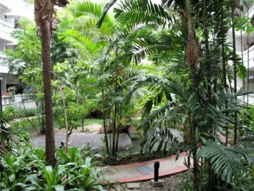 place photo 24