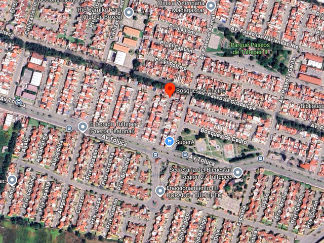 place photo 6