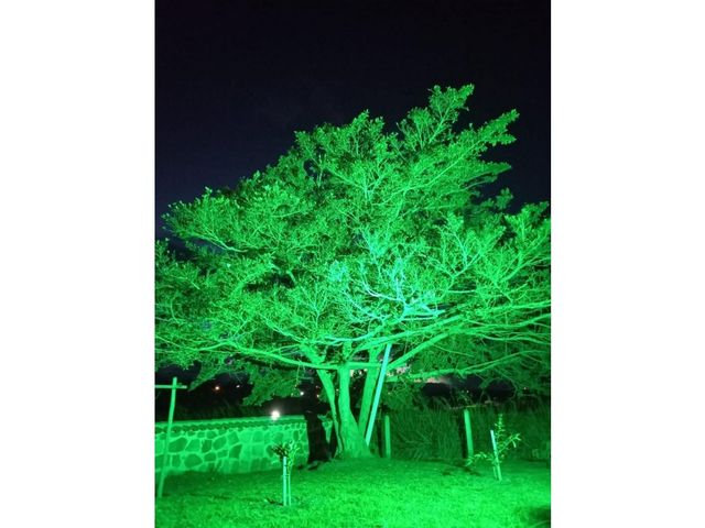 place photo 42