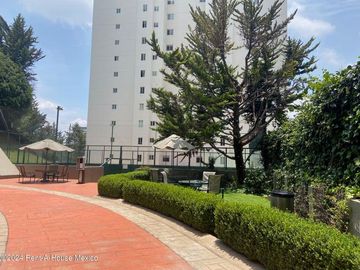 place photo 50