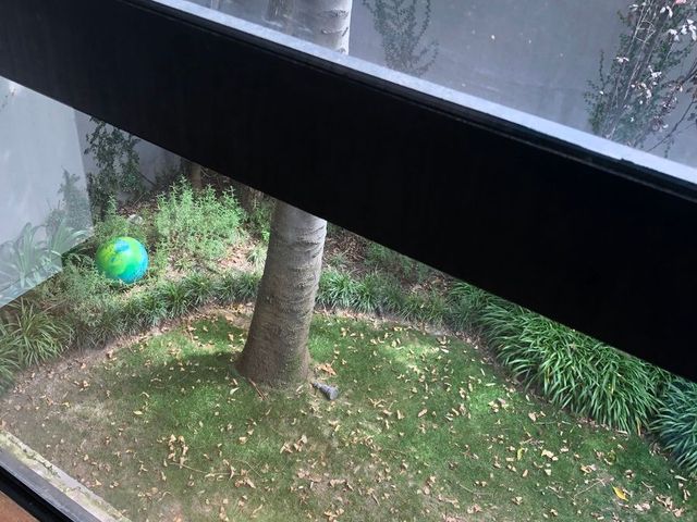 place photo 43