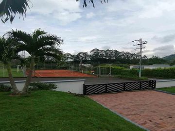 place photo 39