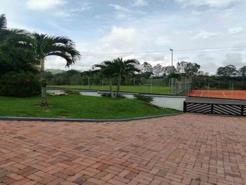 place photo 38