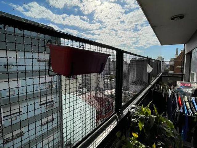place photo 16