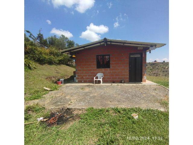 place photo 47