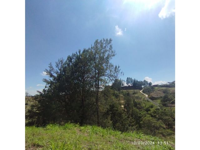 place photo 48