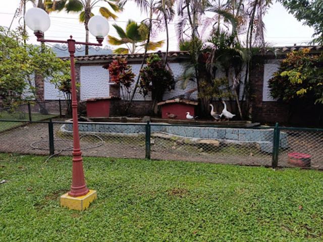 place photo 27