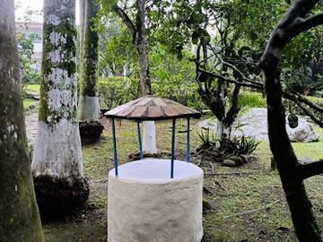 place photo 30