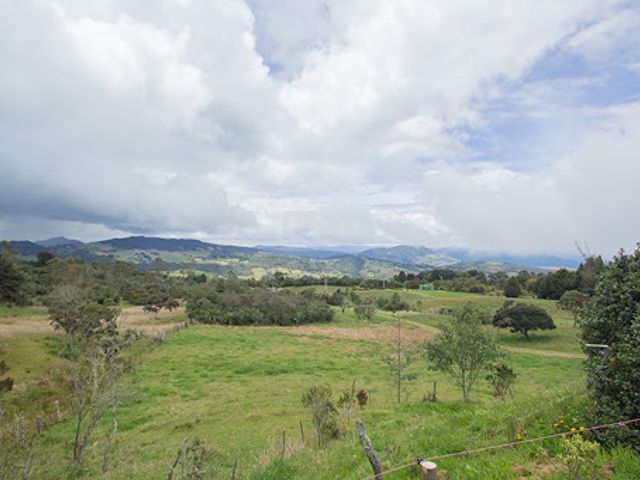 place photo 29