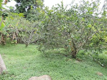 place photo 29