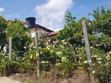 place photo 30