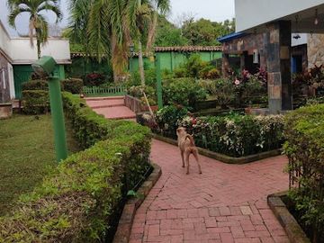 place photo 29