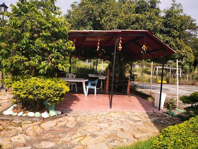 place photo 12