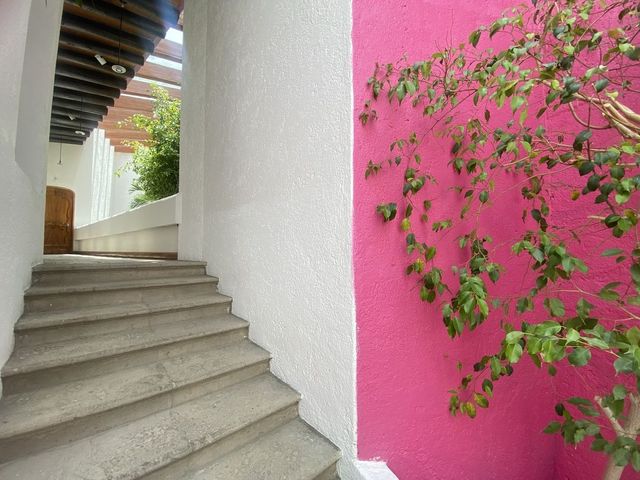 place photo 37