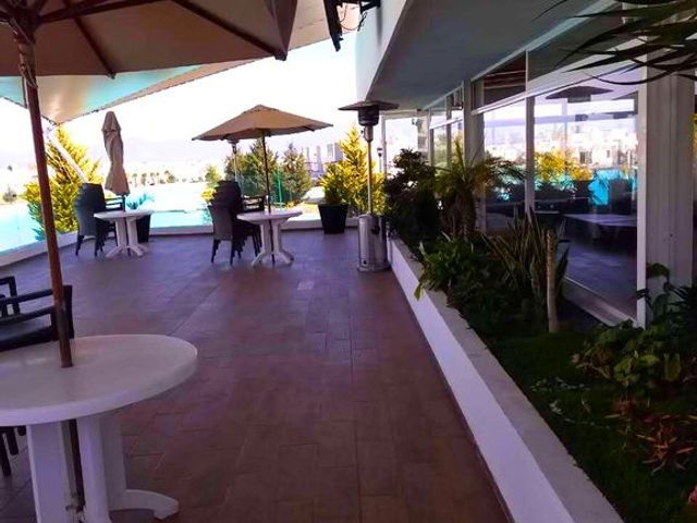 place photo 39