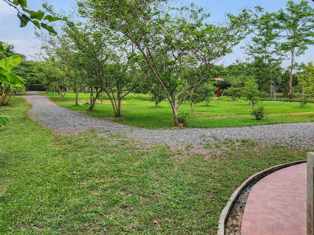 place photo 54