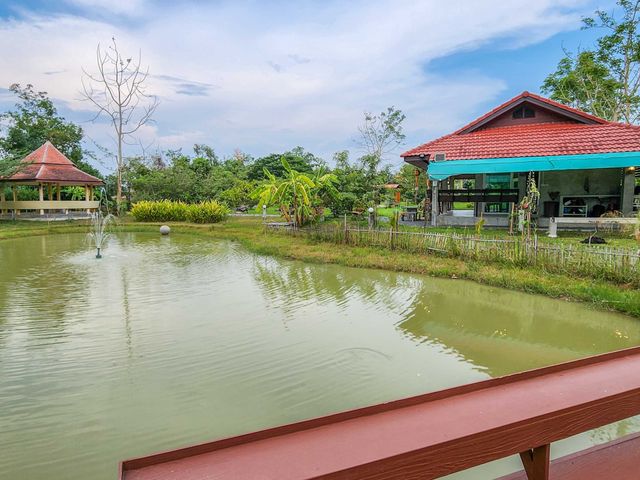 place photo 46