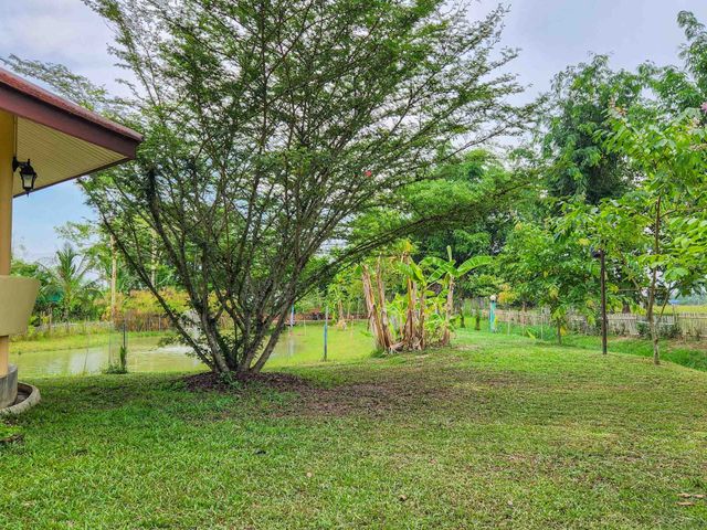 place photo 48