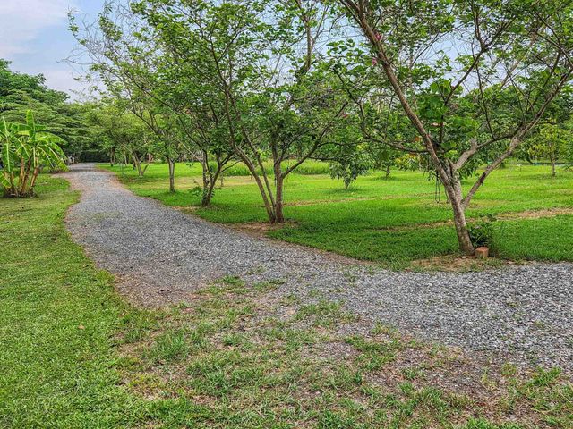 place photo 56