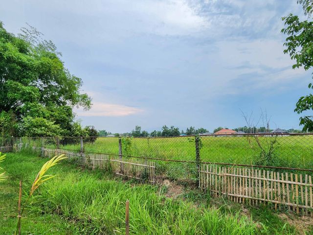 place photo 47