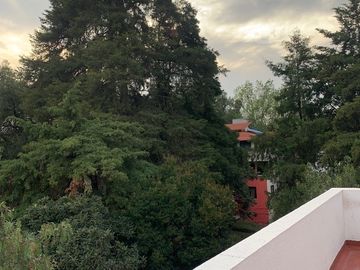 place photo 41