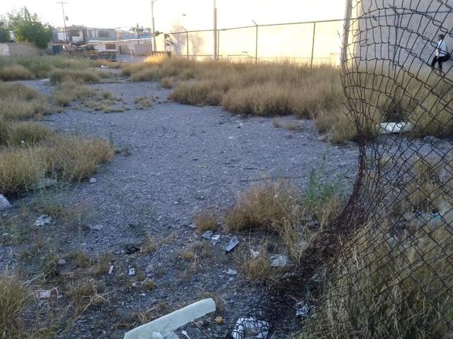 place photo 4