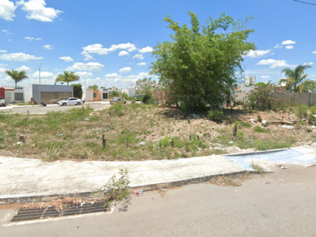 place photo 18