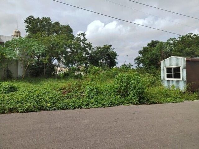 place photo 10