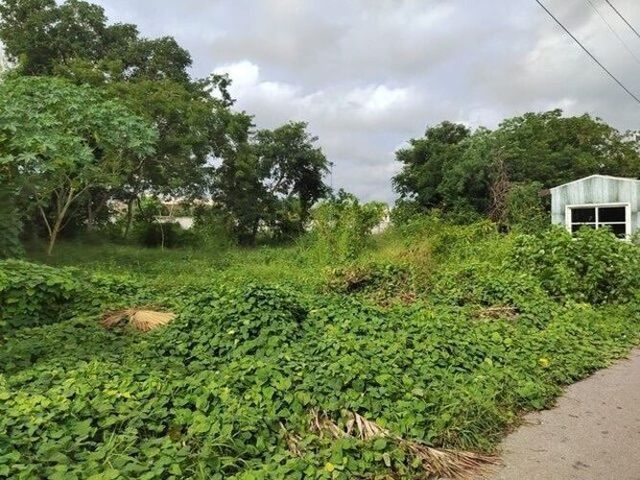 place photo 11