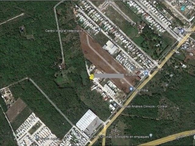 place photo 16
