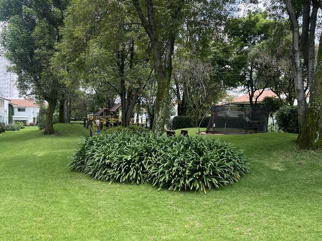 place photo 28