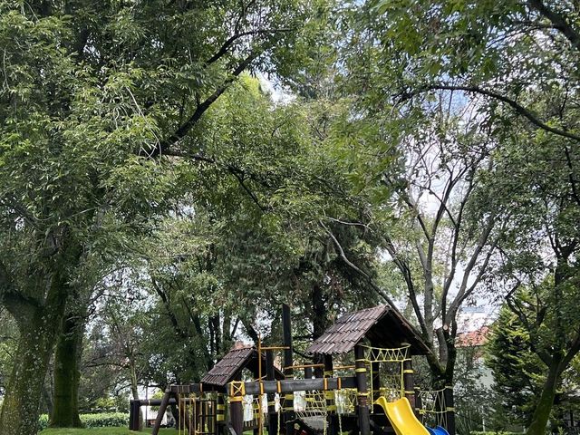 place photo 29