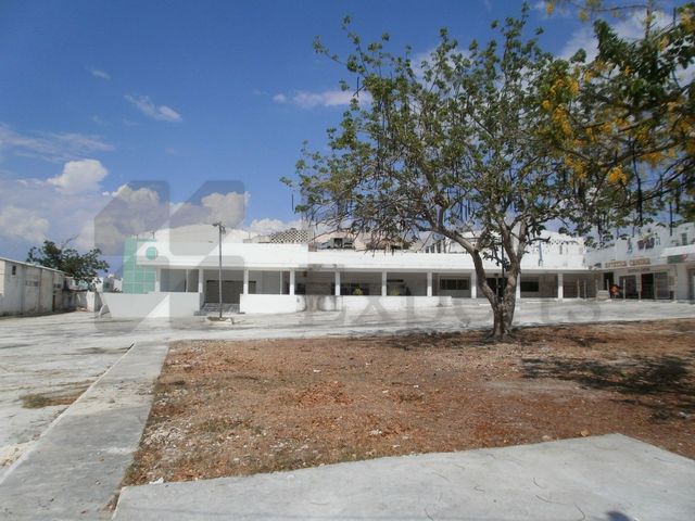 place photo 6