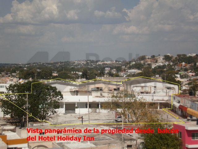place photo 12