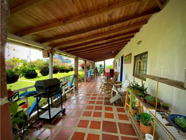 place photo 46