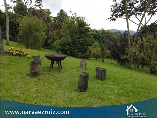 place photo 66