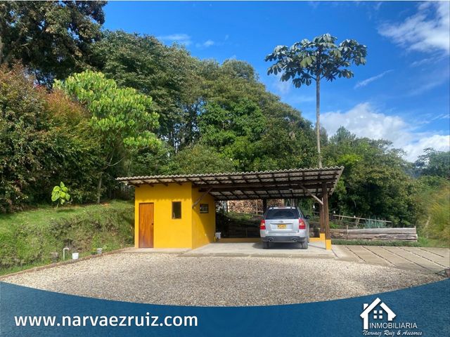 place photo 47