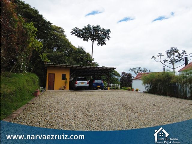 place photo 71