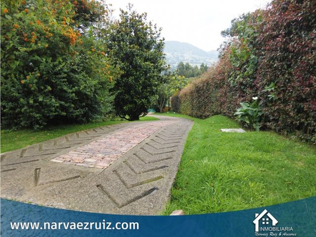 place photo 72